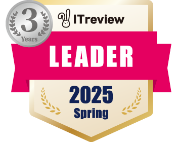 IT review 2024 LEADER